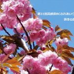 第31回高師浜RCふれあいウォーク報告
